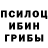 Псилоцибиновые грибы мухоморы Innokentiy Yarovskiy