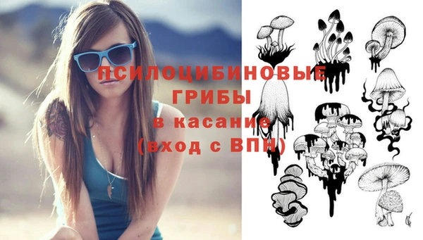 стаф Ладушкин